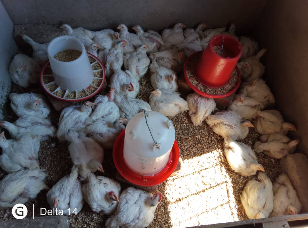 On-Farm Training